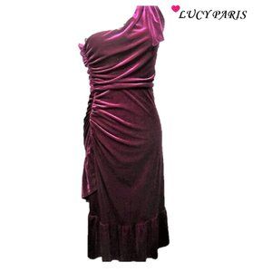 NWT LUCY PARIS PARTY DRESS IN PURPLE FAUX VELVET